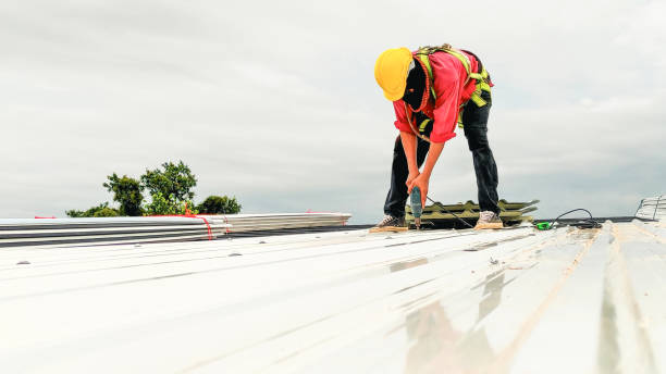 Fast & Reliable Emergency Roof Repairs in Goldstream, AK